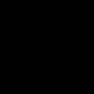 Meet your Posher, Leonel